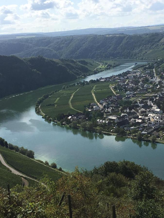 Eifel-Moezelhuis Bergweiler 외부 사진