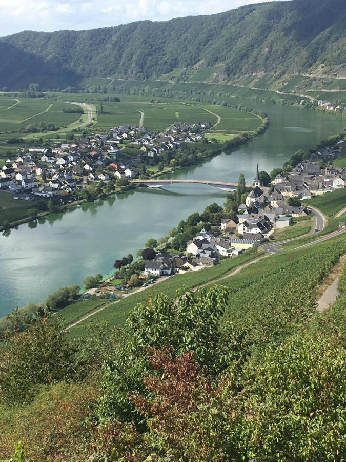 Eifel-Moezelhuis Bergweiler 외부 사진